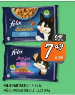 Społem Szczecin Felix Fantastic oferta