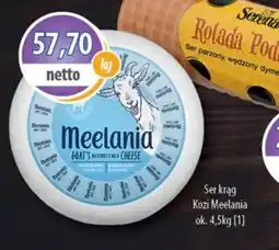 DUO-TES Ser krąg Kozi Meelania oferta