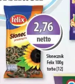 DUO-TES Słonecznik Felix oferta