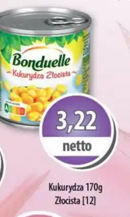 DUO-TES Kukurydza Bonduelle Złocista oferta
