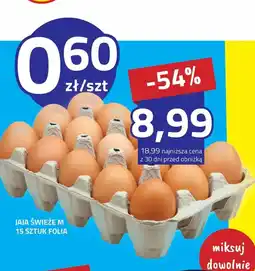 Hildebrandt Jaja świeże M oferta