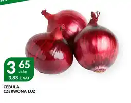 Eurocash Cash & Carry Cebula czerwona oferta