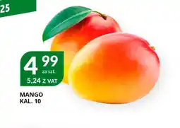 Eurocash Cash & Carry Mango oferta