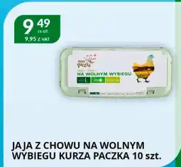 Eurocash Cash & Carry Jaja z chowu na wolnym wybiegu Kurza Paczka oferta