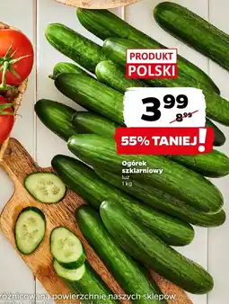 Netto Ogórek szklarniowy Netto oferta