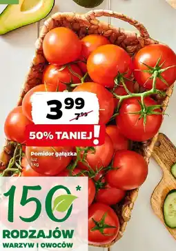 Netto Pomidor gałązka Netto oferta