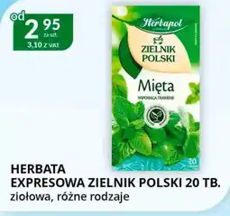 Eurocash Cash & Carry Herbata ekspresowa Zielnik Polski oferta