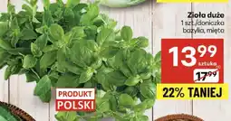 Delikatesy Centrum Zioła duże bazylia, mięta Delikatesy Centrum oferta