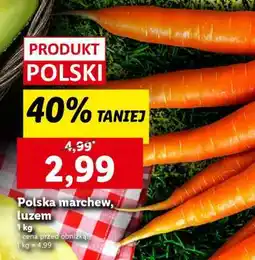 Lidl Polska marchew, luzem oferta