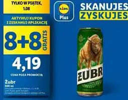 Lidl Żubr oferta