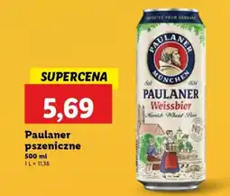 Lidl Paulaner pszeniczne oferta