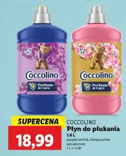 Lidl COCCOLINO Płyn do płukania oferta
