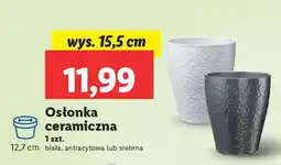 Lidl Osłonka ceramiczna oferta
