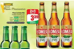 Dino PIWO ŁOMŻA PILS oferta