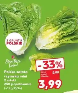 Kaufland Polska sałata rzymska mini oferta