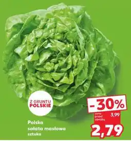 Kaufland Polska sałata masłowa oferta