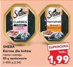 Kaufland SHEBA Karma dla kotów oferta