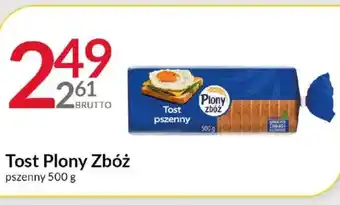 Eurocash Cash & Carry Tost Plony Zbóż oferta