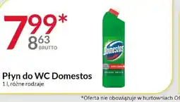 Eurocash Cash & Carry Płyn do WC Domestos oferta