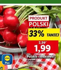 Lidl Rzodkiewka polska oferta