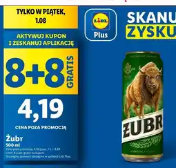 Lidl Piwo Żubr 1768 oferta