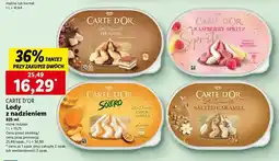 Lidl Lody raspberry spritz Algida Carte D'or oferta