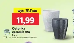 Lidl Osłonka ceramiczna 15.5 cm srebrna oferta