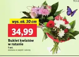 Lidl Bukiet kwiatów w ratanie 30 cm oferta