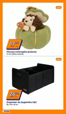Action Róż w płynie lub rozświetlacz FAB Factory oferta