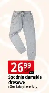 E.Leclerc Spodnie damsie dresowe oferta