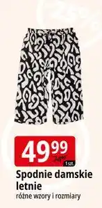 E.Leclerc Spodnie damskie letnie oferta