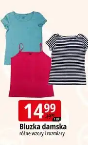 E.Leclerc Bluzka damska oferta
