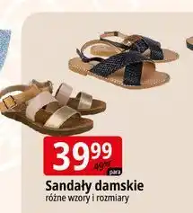 E.Leclerc Sandały damskie oferta