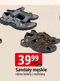 E.Leclerc Sandały męskie oferta