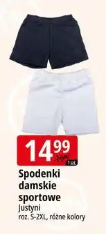 E.Leclerc Spodnie damskie sportowe s-2xl Justyni oferta