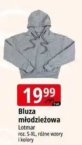 E.Leclerc Bluza młodzieżowa Lotmar oferta