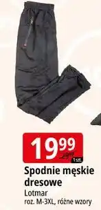 E.Leclerc Spodnie męskie dresowe rozm. m-3xl Lotmar oferta
