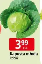 E.Leclerc Kapusta młoda oferta