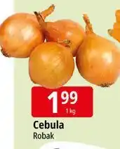E.Leclerc Cebula oferta