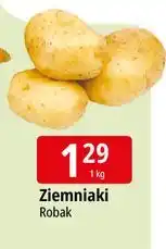 E.Leclerc Ziemniaki oferta