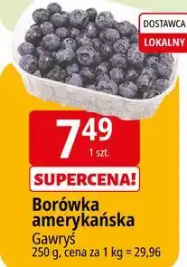 E.Leclerc Borówka amerykańska oferta