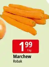 E.Leclerc Marchew oferta