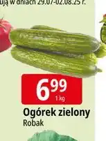 E.Leclerc Ogórek zielony oferta