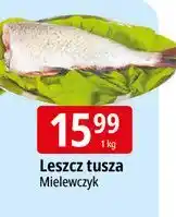 E.Leclerc Leszcz tusza Mielewczyk oferta