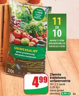 Dino Ziemia do kwiatów oferta