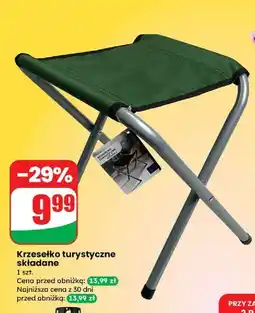 Dino Krzesło turystyczne oferta