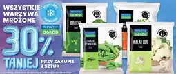 Dino Fasolka szparagowa cięta Mroźny Ogród oferta