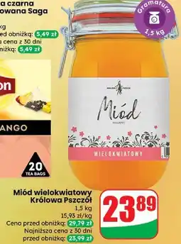 Dino Miód wielokwiatowy Cd Królowa Pszczół oferta