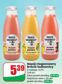 Dino Sok letnie jabłko z cytryną i miętą Bracia Sadownicy oferta