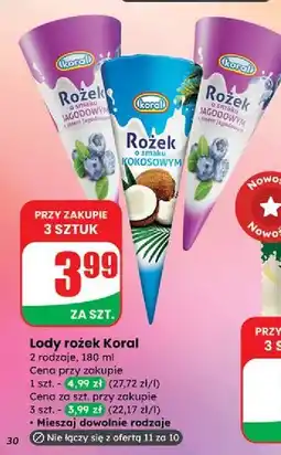 Dino Rożek jagodowy Koral oferta